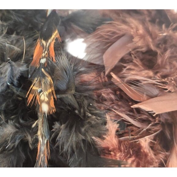 Mixed Feather Craft Lot Natural & Dyed Unopened Packs Hat & Floral Decor Use - Picture 9 of 14